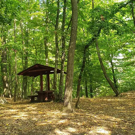 Ferienhaus Sziklaszirt - Wellness Vendeghaz Salgótarján