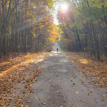 Ferienhaus Sziklaszirt - Wellness Vendeghaz
