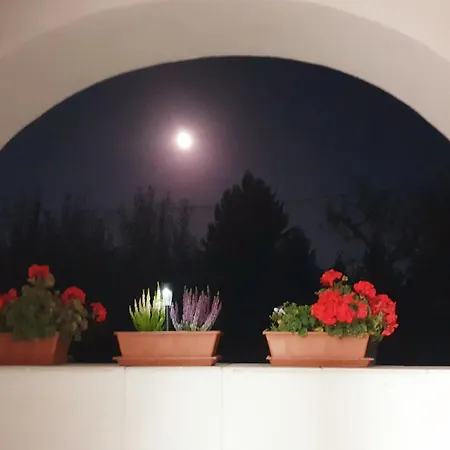 Sziklaszirt - Wellness Vendeghaz Ferienhaus Salgótarján