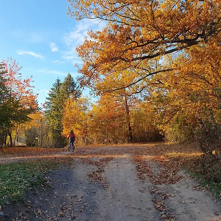 Sziklaszirt - Wellness Vendeghaz Dom wakacyjny Salgótarján