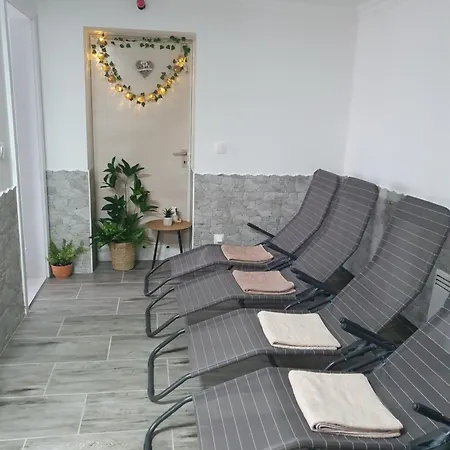 Sziklaszirt - Wellness Vendeghaz * Salgótarján