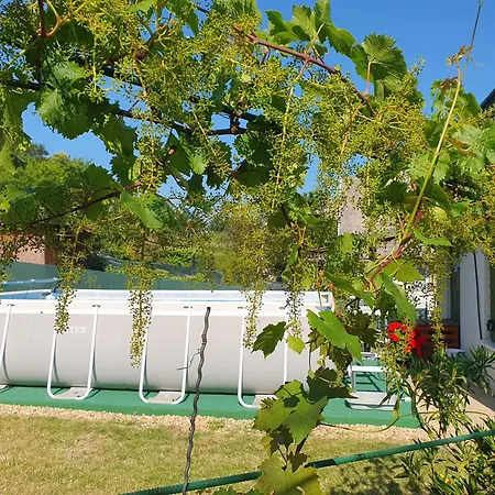 Sziklaszirt - Wellness Vendeghaz * Salgótarján