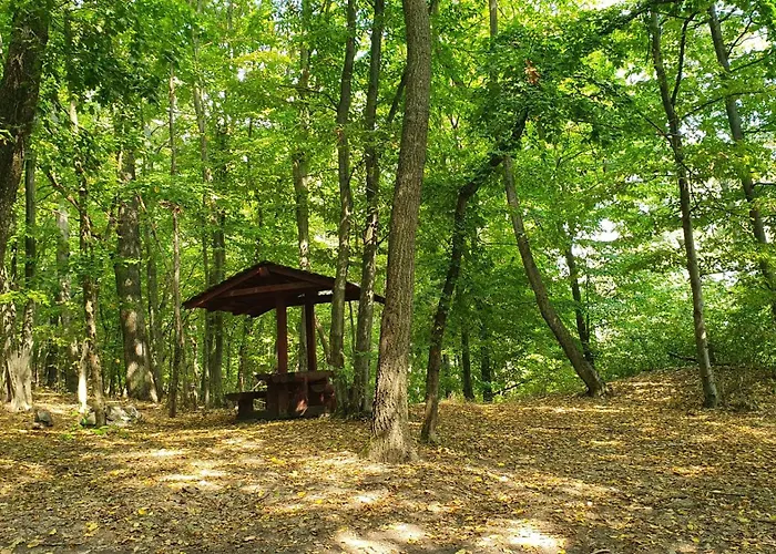 Дом отдыха Sziklaszirt - Wellness Vendeghaz Шальготарьян